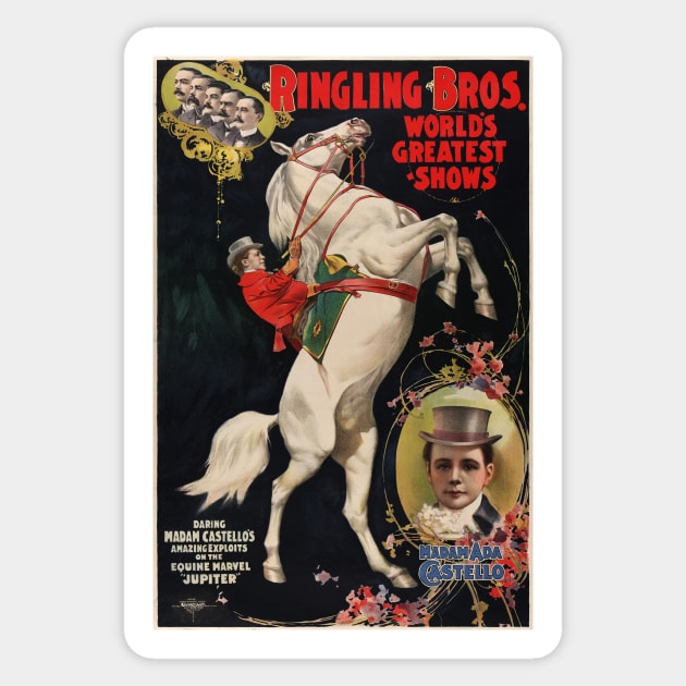 Ringling Bros Horse Circus Performances Stunt Advertisement Vintage Sticker by vintageposters